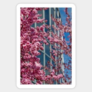 Spring in the City Sticker